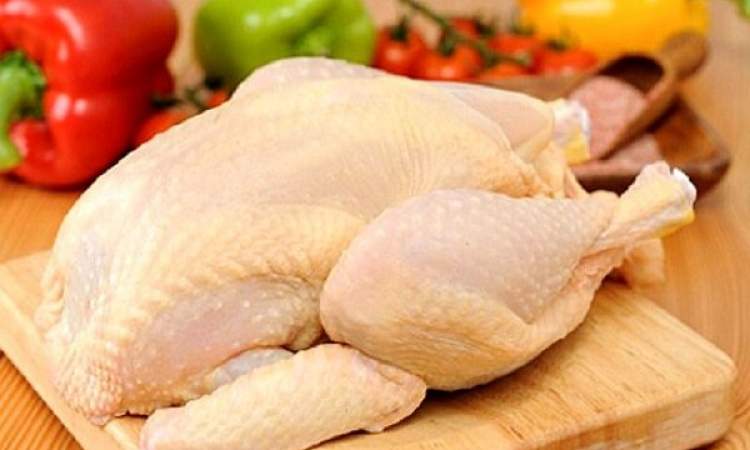 قیمت جدید مرغ هفته آینده اعلام می‌شود/ کاهش جوجه ریزی در کشور