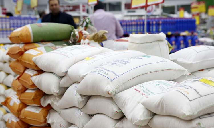 ۷۰ درصد برنج های وارداتی به مقصد استان‌های شمالی است