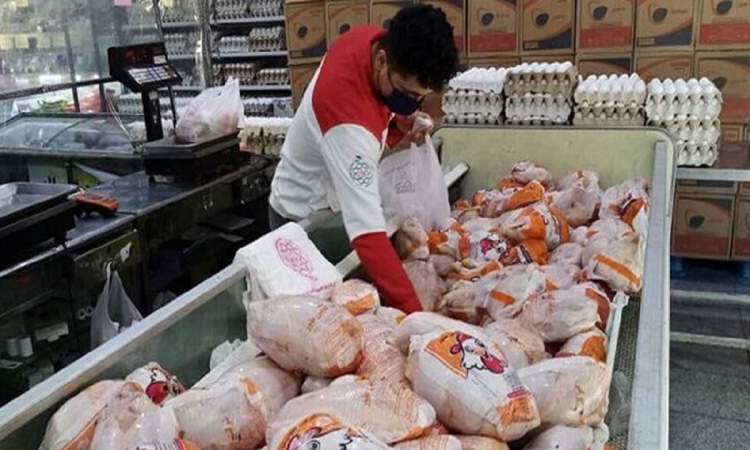 نامعادله بازار مرغ؛ ظرفیت تولید سالانه سه میلیون تن، مصرف 2 میلیون تن