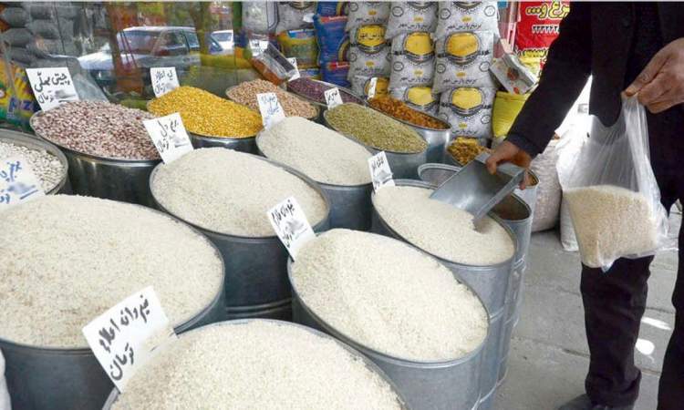 ركورد واردات برنج شكست